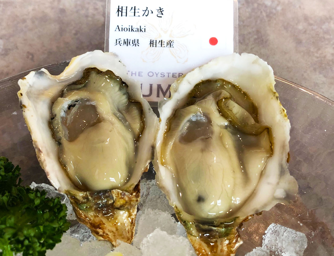 オイスターバーYUMMY（ヤミー）・兵庫県の相生牡蠣